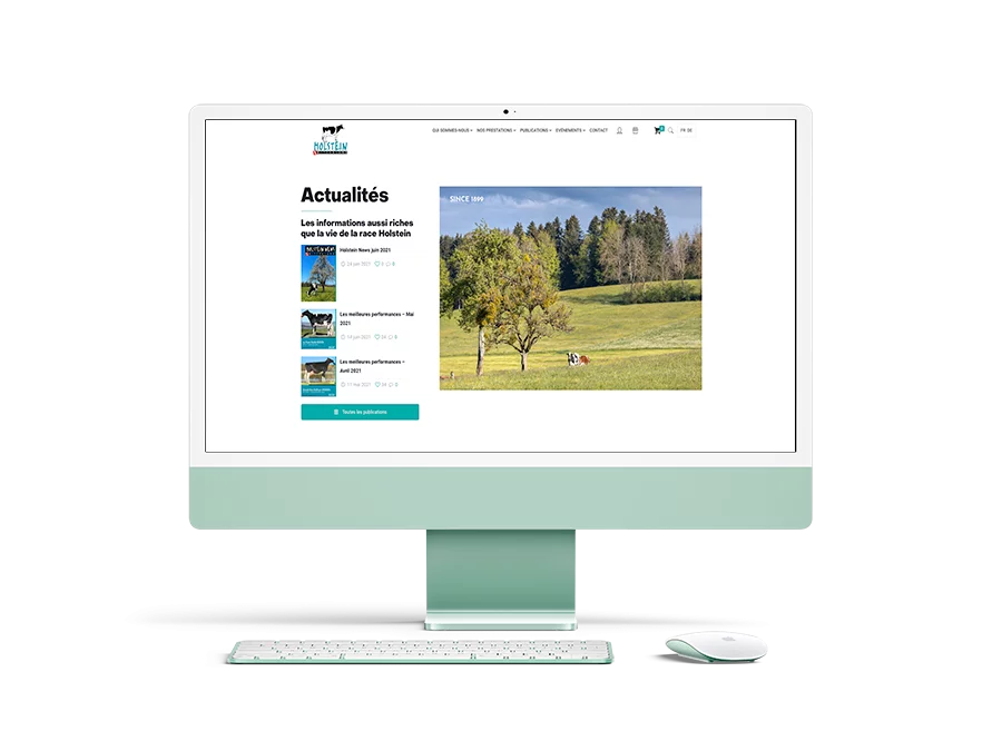 stratospherik-realisations-holstein-1