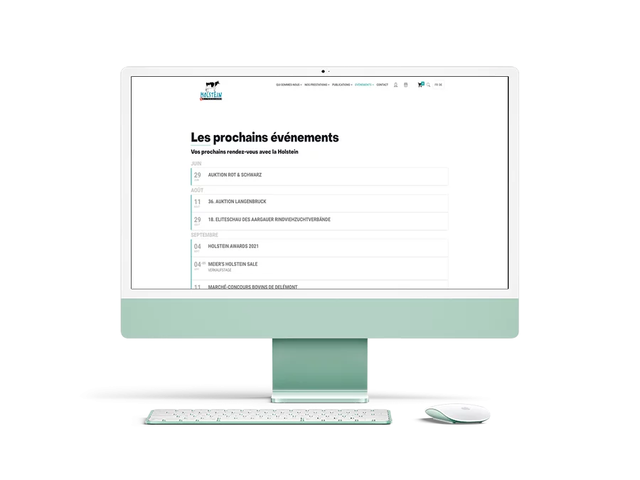 stratospherik-realisations-holstein-2