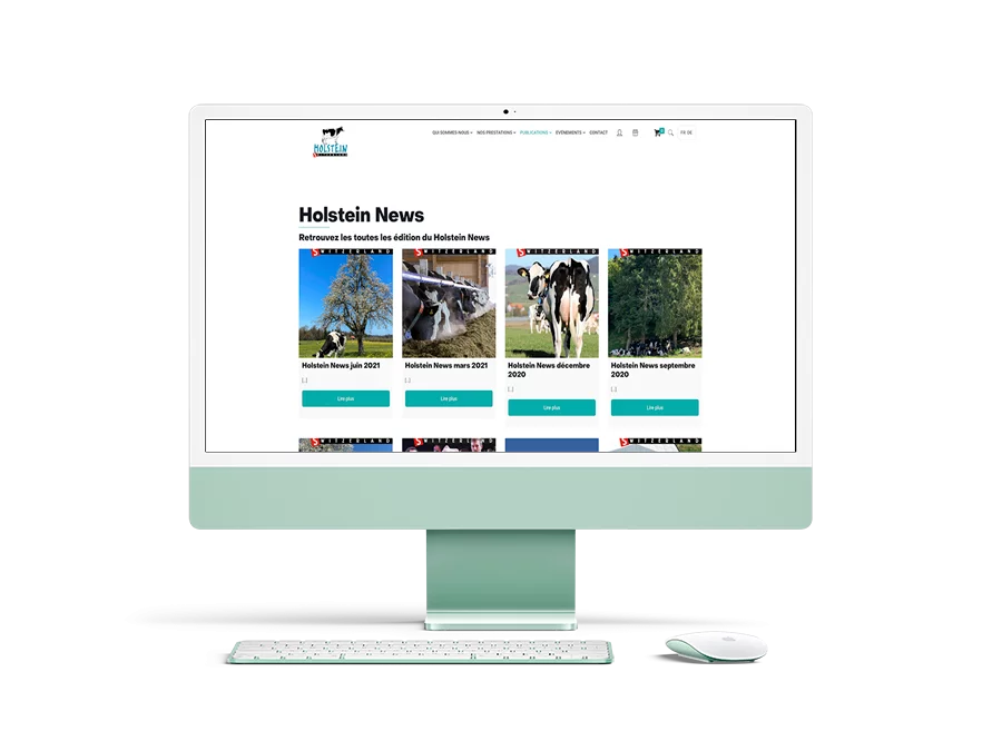 stratospherik-realisations-holstein-4